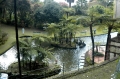 madeira botanical gardens-5